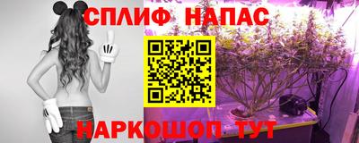 гашик Гусев