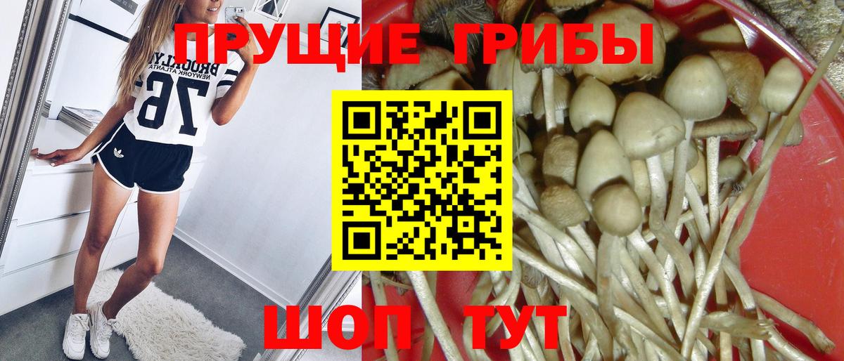 Трёхгорный  Псилоцибиновые грибы MAGIC MUSHROOMS  Вход с VPN 